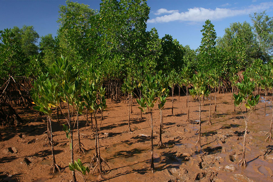 sertifikat-st&ouml;rmer-kitchen